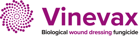 Vinevax - Biological wound dressing fungicide