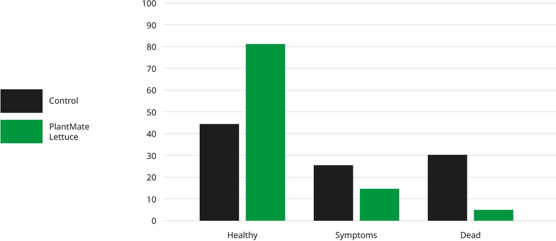 PlantMate Lettuce Chart